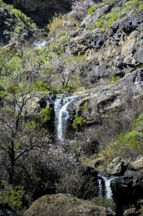 30/01/2018 LAS TIRAJANAS. Frio, lluvias, y cascadas de aguas en Las Tirajanas. FOTO: J. PÉREZ CURBELO