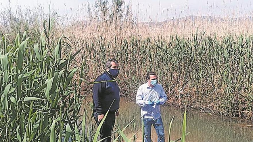 Peñíscola traza un plan de acciones en la Marjal