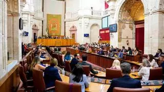 El Pleno del Parlamento andaluz debatirá sobre VTC, sanidad y el ‘caso Koldo’