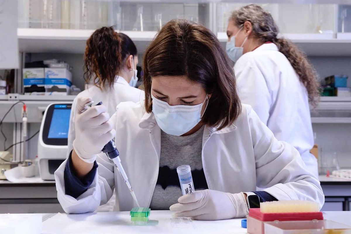 Els microbis ja s’adapten al canvi climàtic: biòlegs detecten en hospitals un fong híbrid resistent a la calor