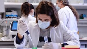 Els microbis ja s’adapten al canvi climàtic: biòlegs detecten en hospitals un fong híbrid resistent a la calor