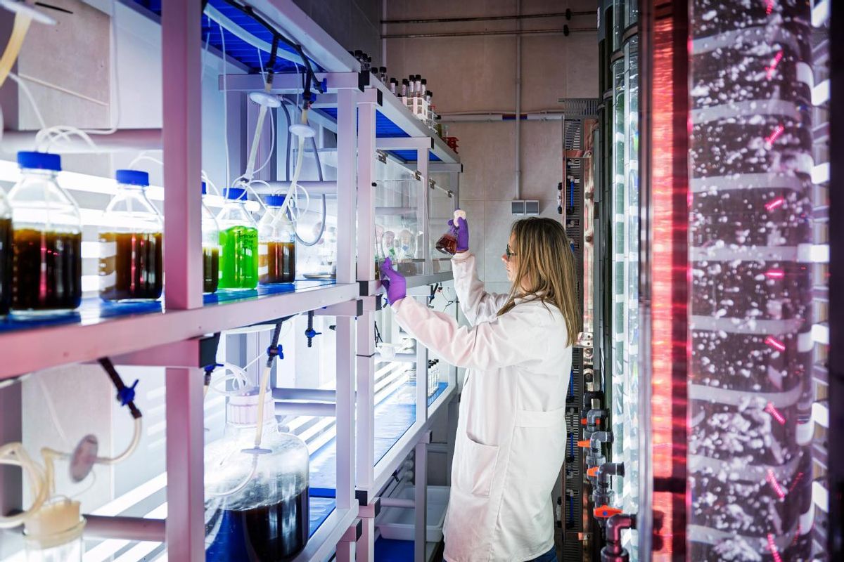 En uno de lo laboratorios de investigación.