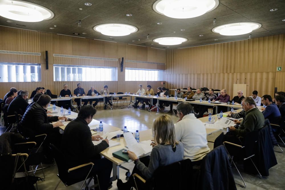 Pleno del Parlament del 1 de febrero