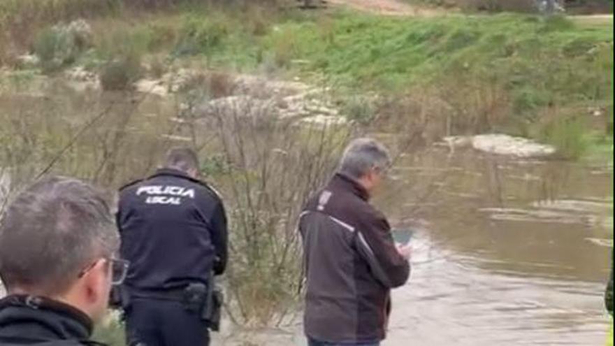 Así baja el Gorgos en Gata: "Baixa el riu, aigua per a tot l'estiu" (vídeo)