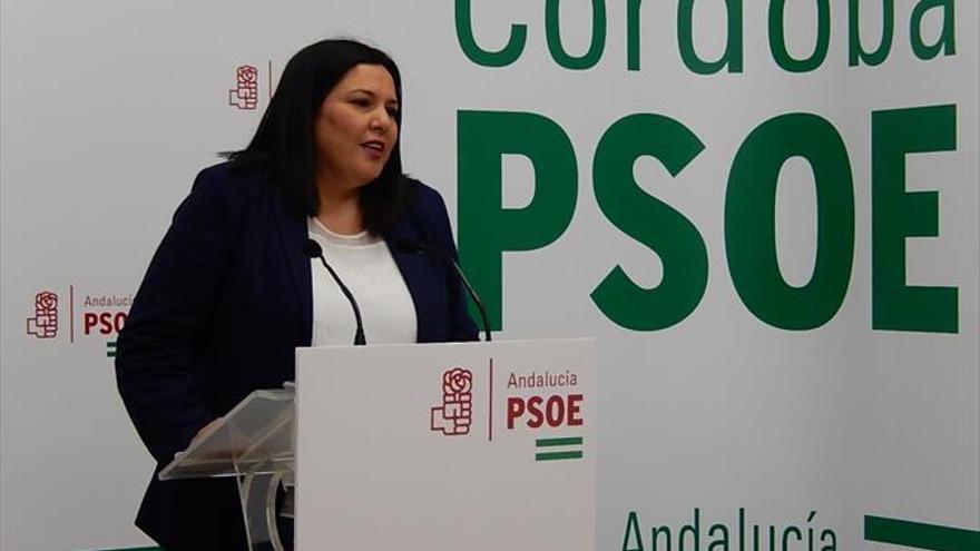 El PSOE explicará las cuentas de la Diputación y las leyes sociales