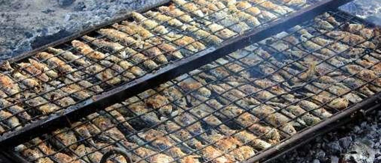 Sardinas en las brasas.