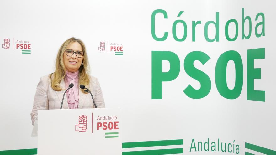 El PSOE de Córdoba pide al Gobierno seguir con los planes y estrategias para prevenir el suicidio infantil y juvenil
