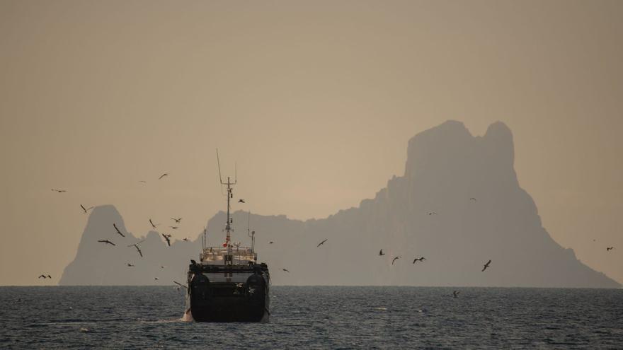 Diagnóstico de la pesca ilegal en Ibiza