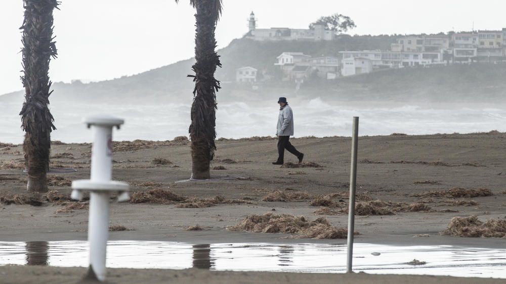 Efectos del Temporal Gloria en la ciudad de Alicante