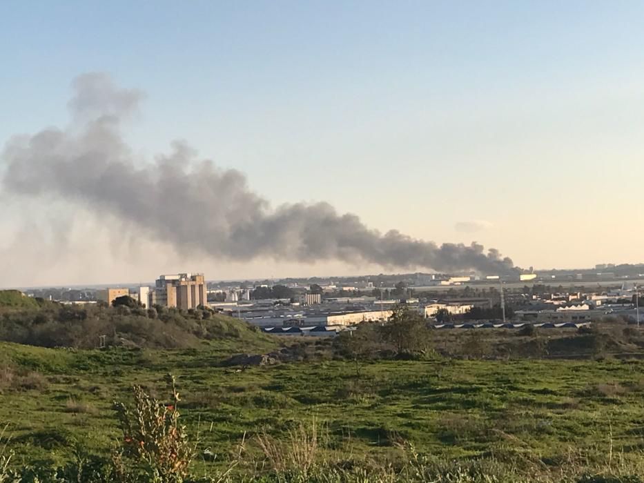 Los bomberos actúan en la zona trasera de la tienda de muebles.