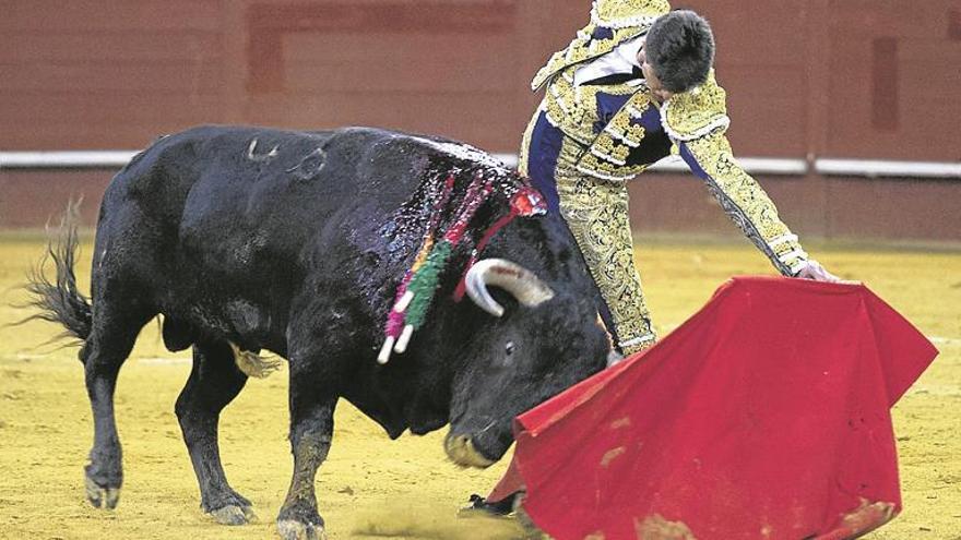 Varea arranca el año en Vistalegre sin suerte y sufre una cogida leve