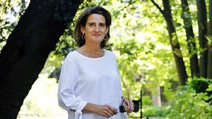 Ribera defensa que tots els grups participin en la ‘destralada’ a les elèctriques pel CO<sub>2</sub>