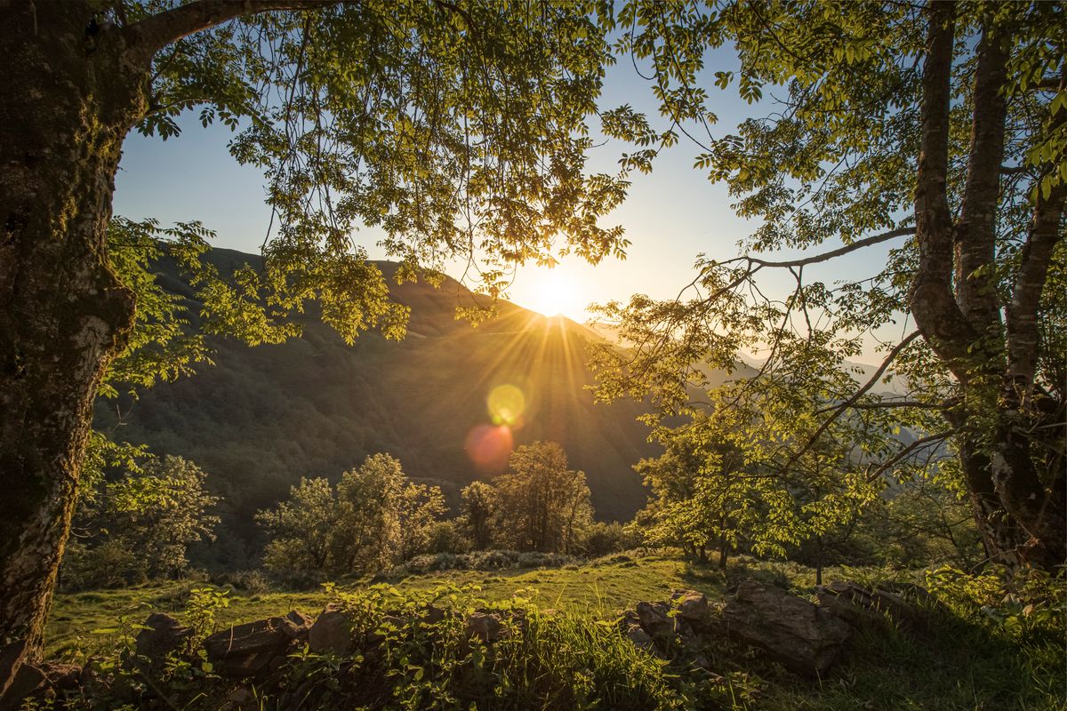 Puesta de sol en el Parque Nacional Redes
