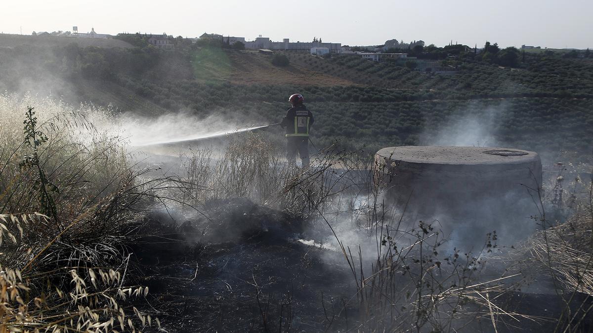 Un bombero sofoca un incendio de pastos en la Cañada del Madroño.