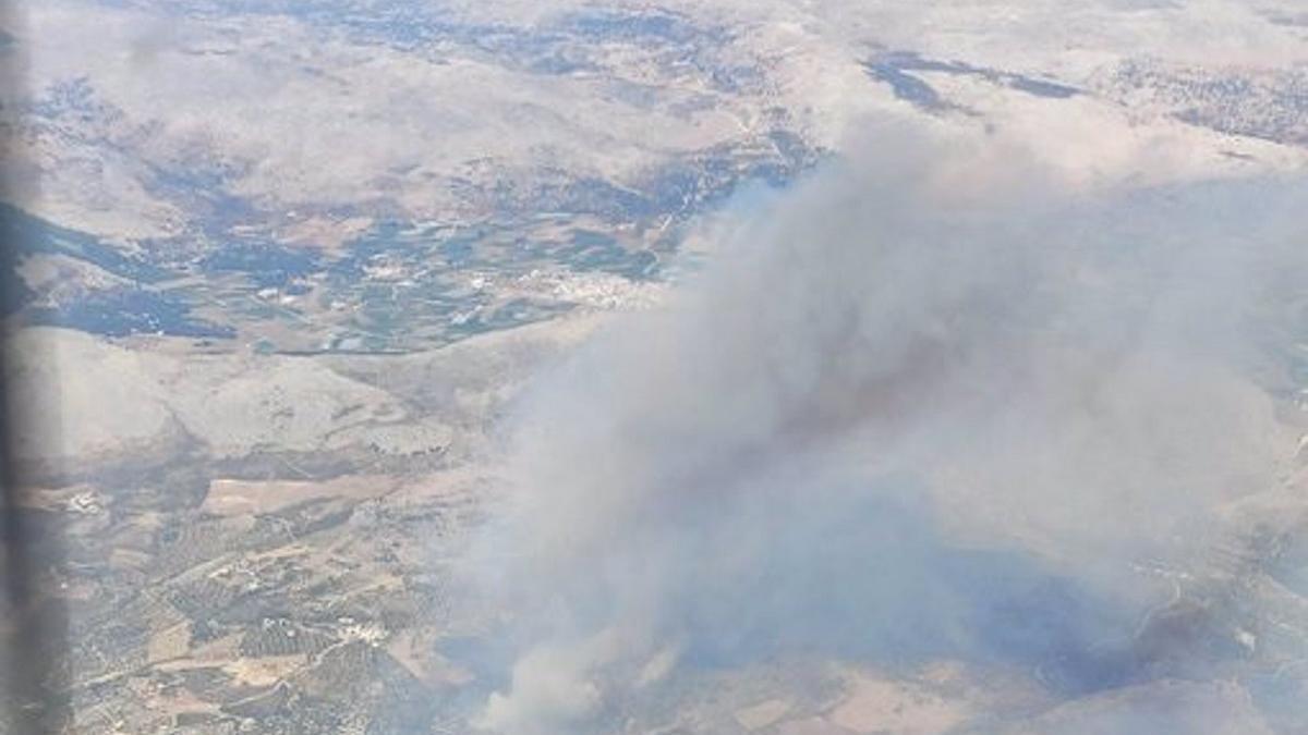 Estabilizado el incendio forestal de Periana