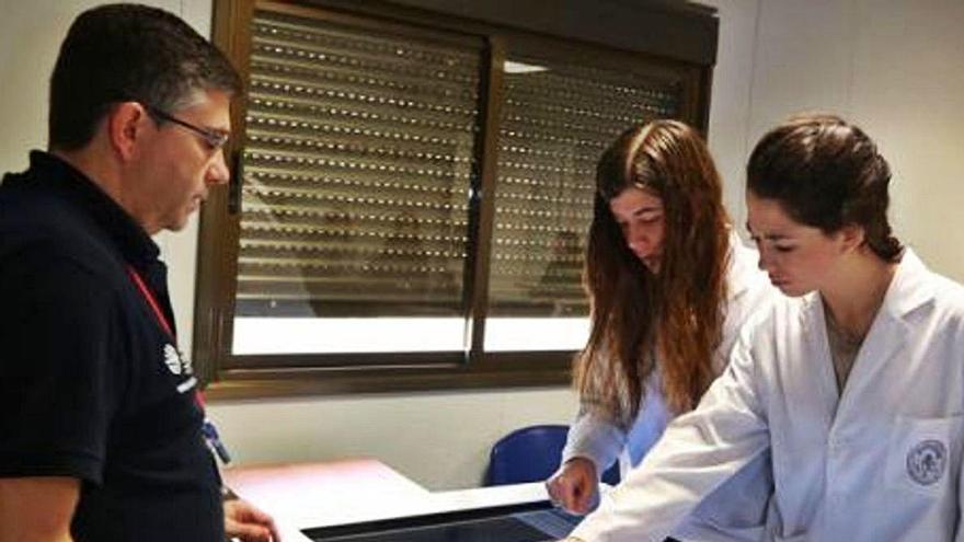 Varios alumnos de Medicina de la UCAM, en una práctica.