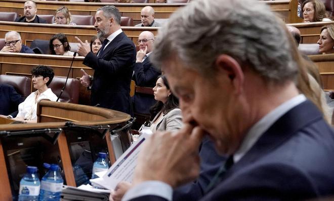 PP y Vox se enzarzan por la paternidad del recurso que suspende la 'ley de nietos'