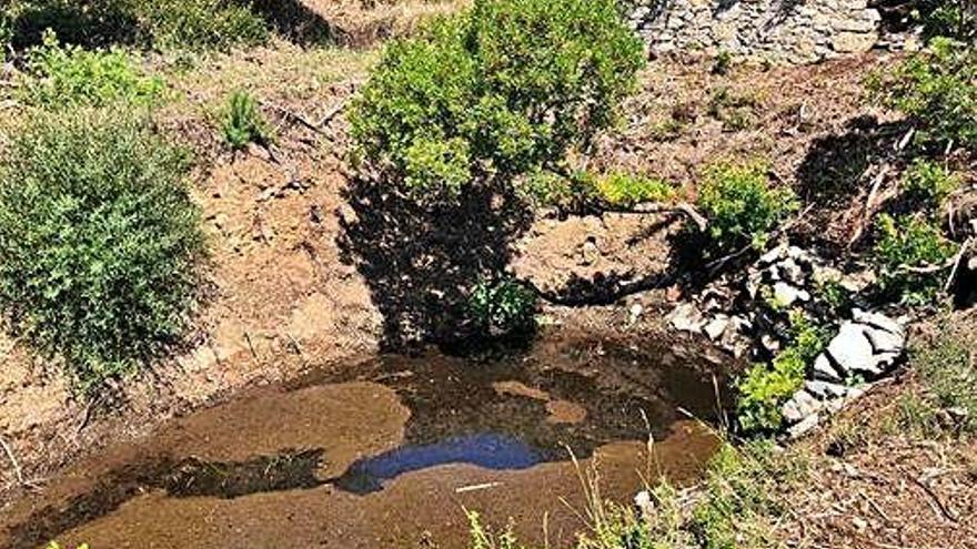 La bassa de Puig Pinell, després de l&#039;actuació.