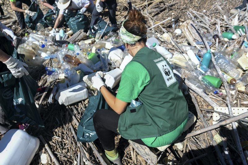 Recogida de plásticos en la ribera del Ebro