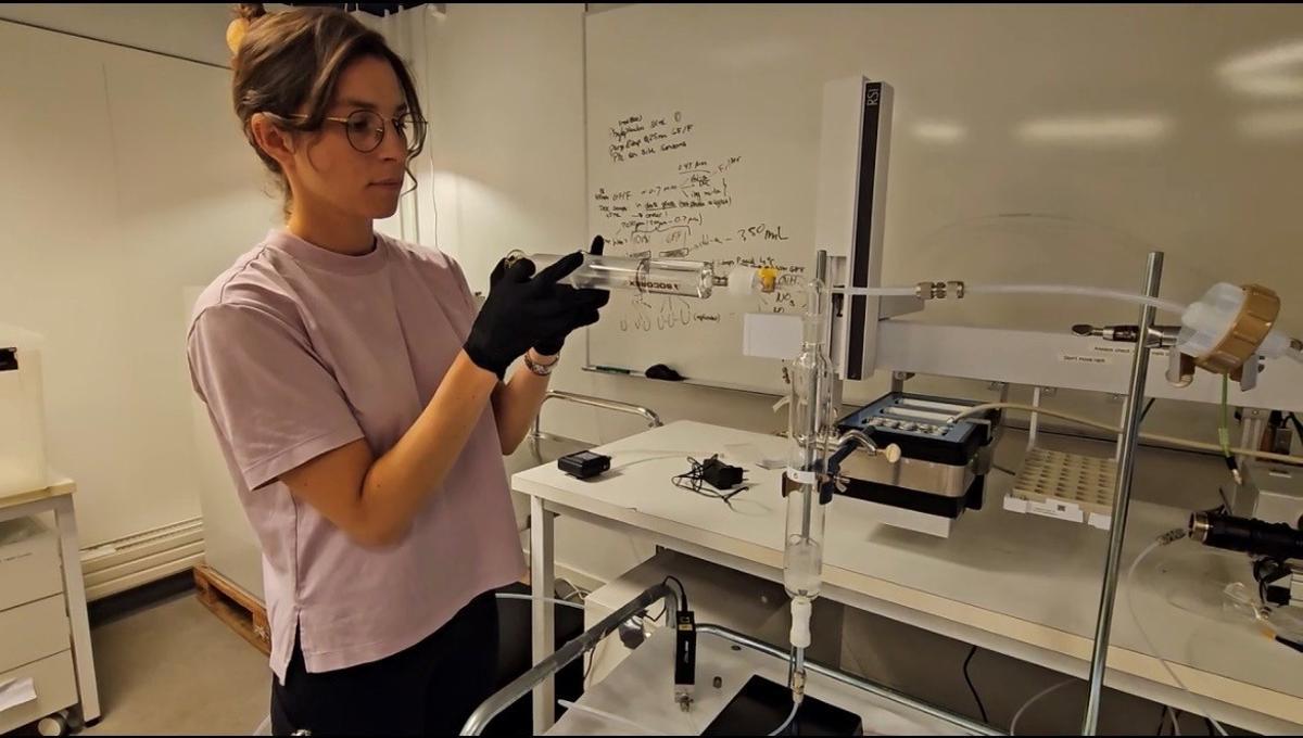 Analizando las muestras con un espectrómetro de masas de protones.