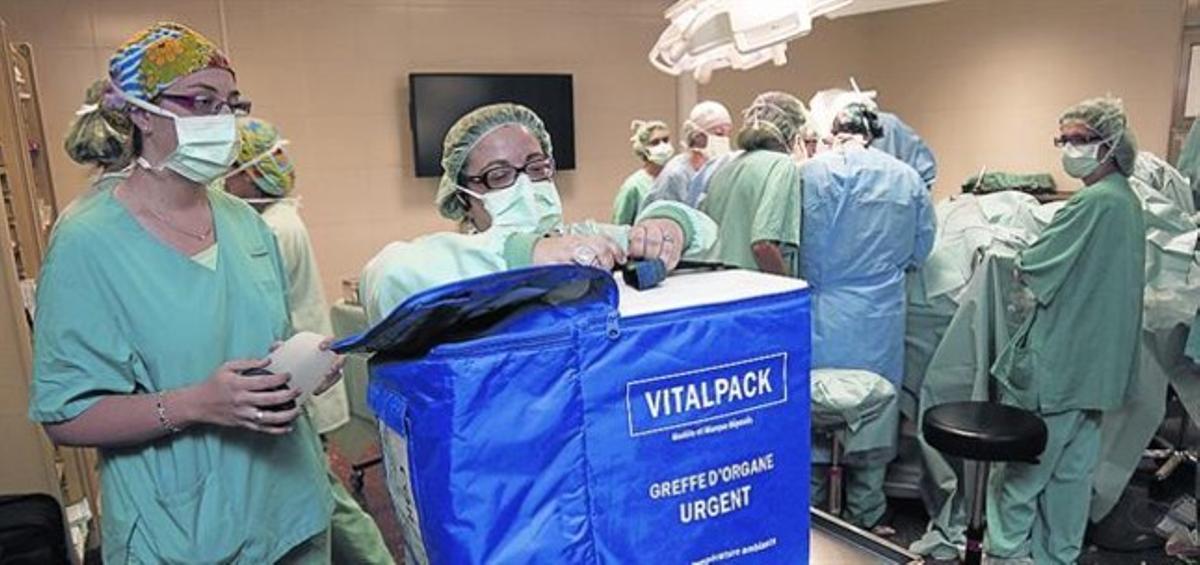 Una de les sales de trasplantaments de l’Hospital Clínic, en una imatge feta l’any 2011. Una de les sales de trasplantaments de l’Hospital Clínic, en una imatge feta l’any 2011.