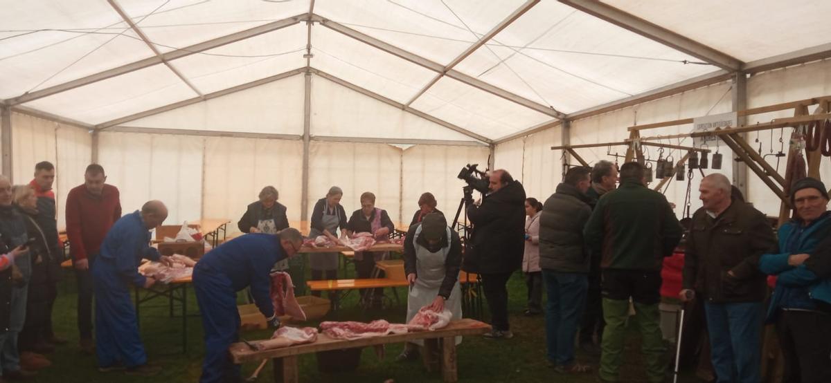 WhatsApp Image 2026-03-08 at 09.37.13