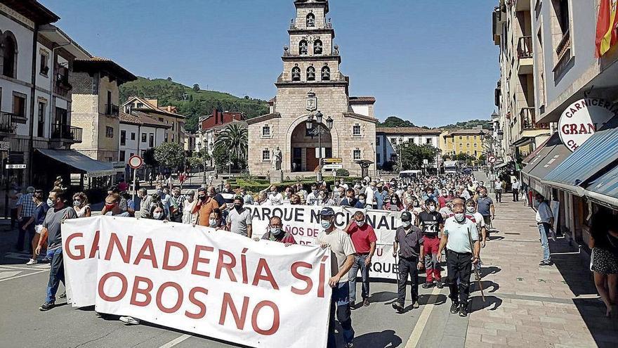 Arrecia la presión al Principado sobre el lobo: &quot;Necesitamos hechos concretos&quot;