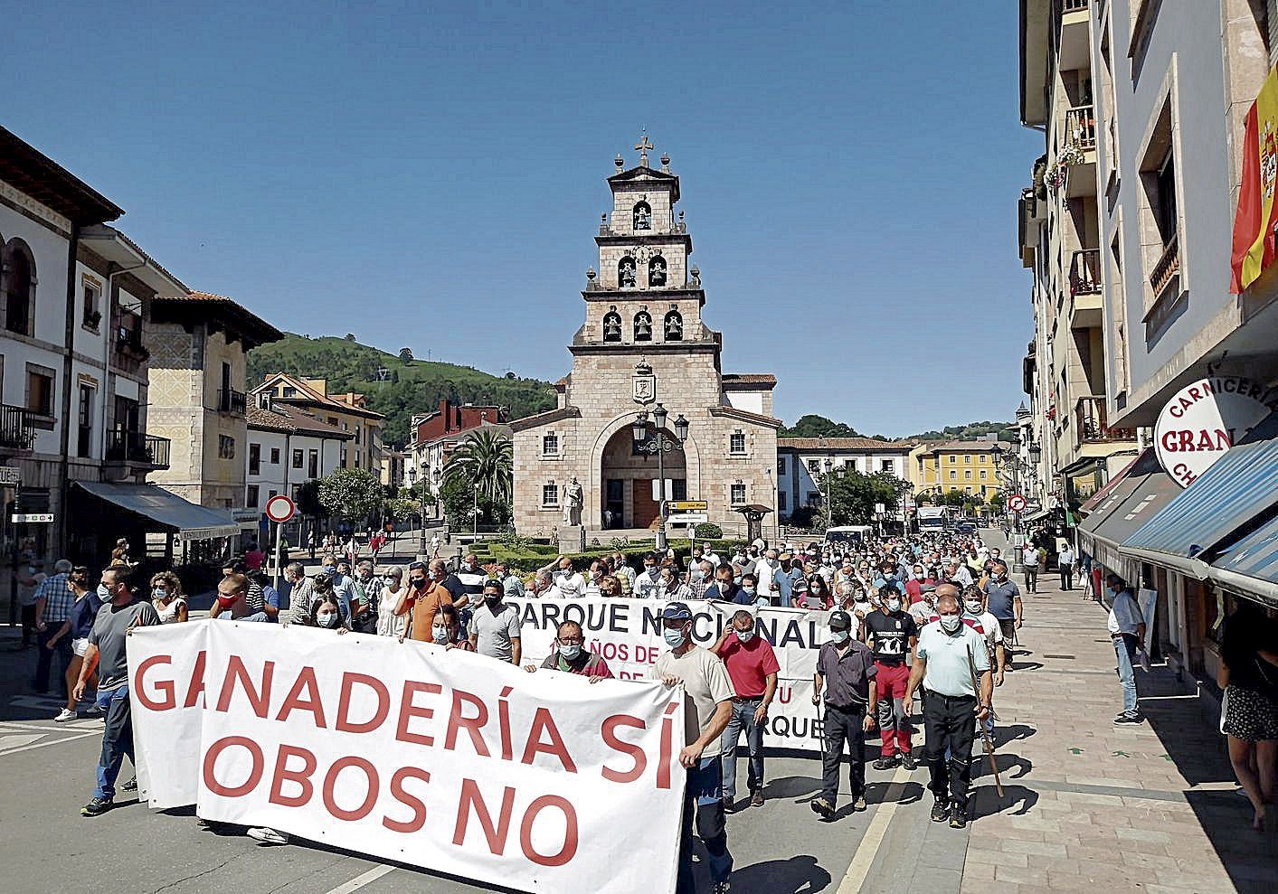 Protesta de los ganaderos contra los daños del lobo en Cangas de Onís.