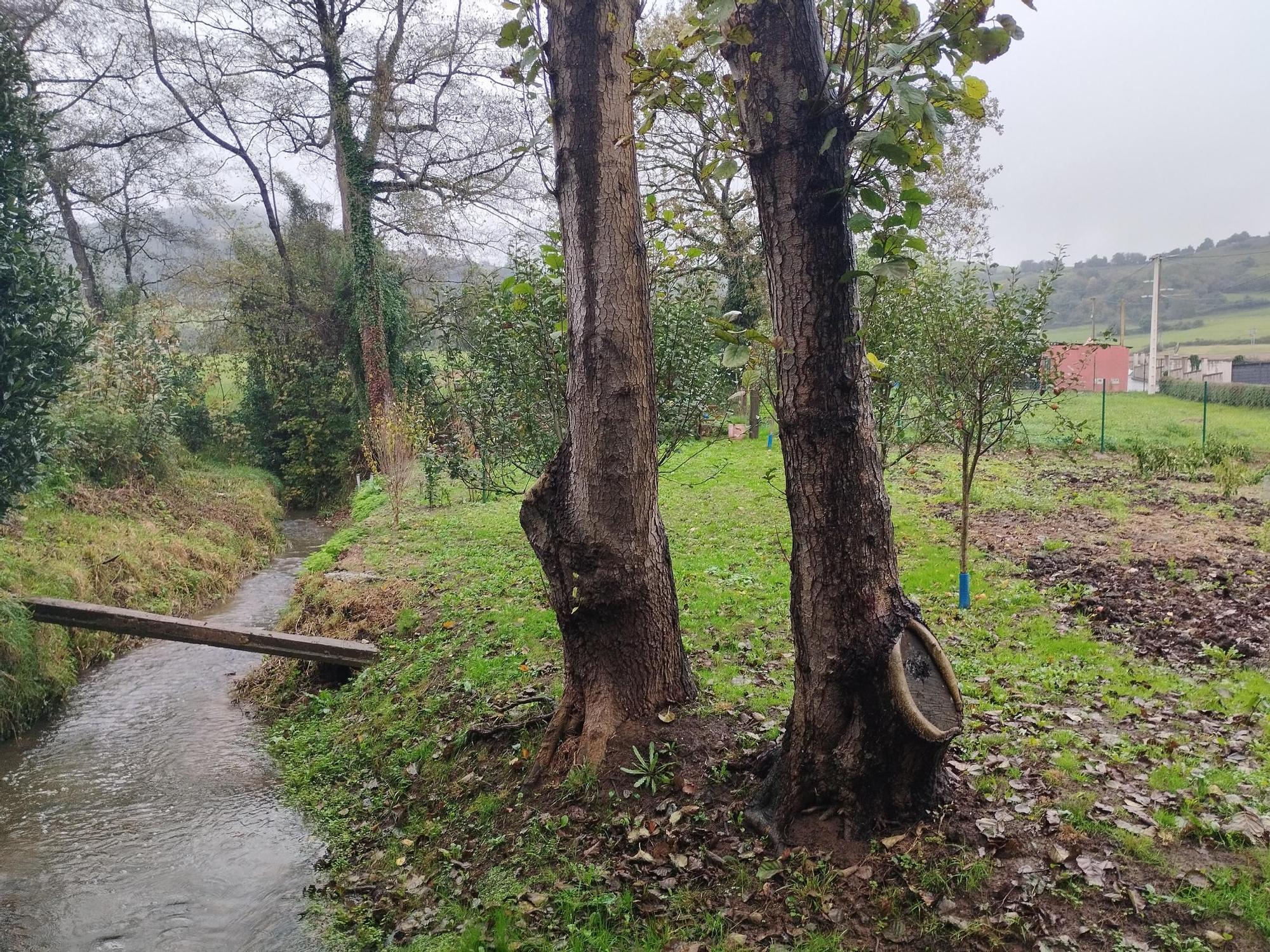 Villardeveyo, tierra ferroviaria y minera que esconde una celosía prerrománica