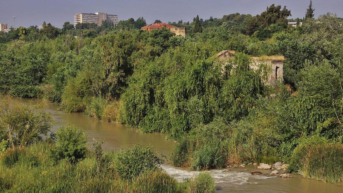 En la foto, el Guadalquivir a su paso por Córdoba.