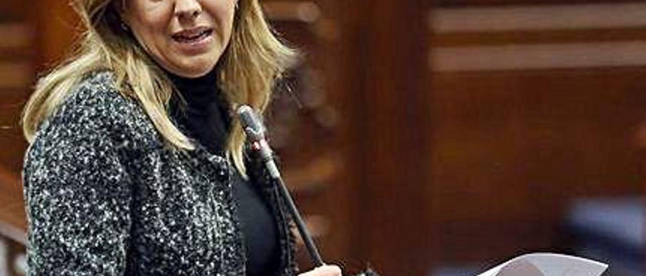 Rosa Dávila, durante una intervención en el Parlamento de Canarias.