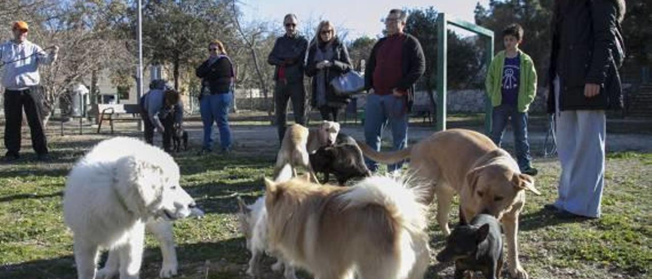 «Ni sacrificamos perros, ni de Gandia tendrán que ir a Vinaròs a recogerlos»