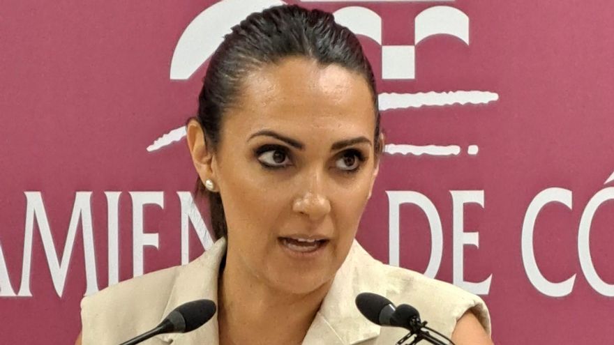 El PSOE exige a Bellido que ponga en marcha una Oficina de Rehabilitación del Parque Figueroa