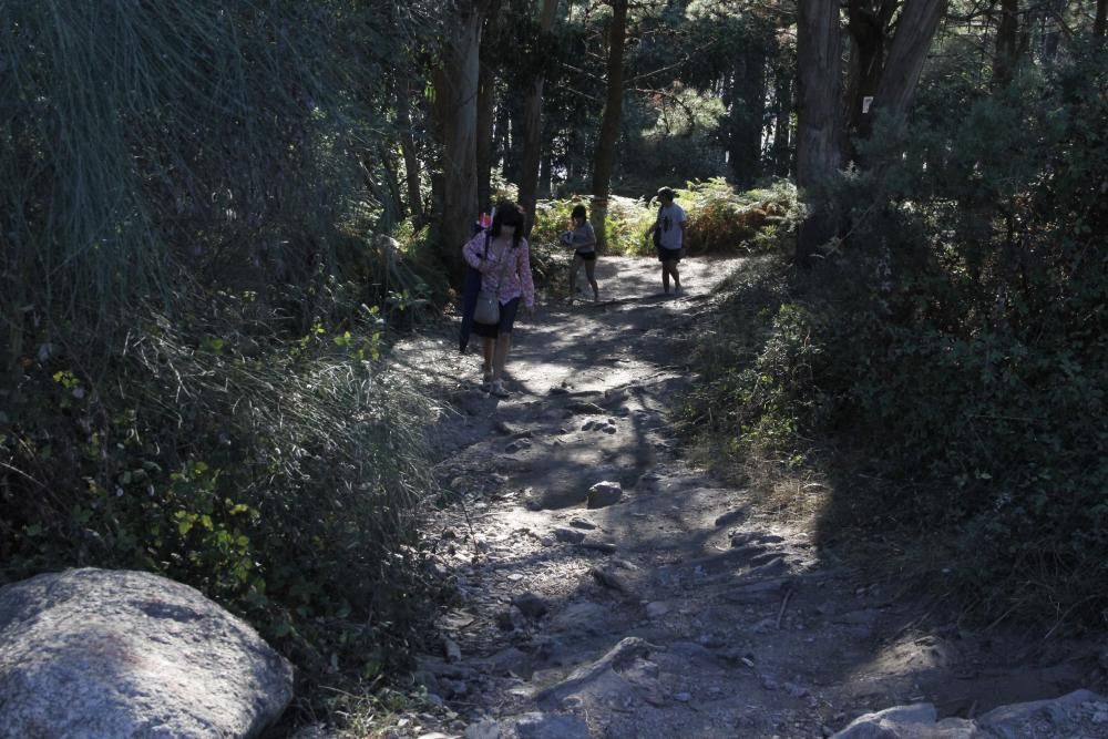 Arco Iris denuncia la pésima conservación de Costa da Vela - Asegura que es una bomba incendiaria y destaca la falta de guardas forestales y señalización adecuada