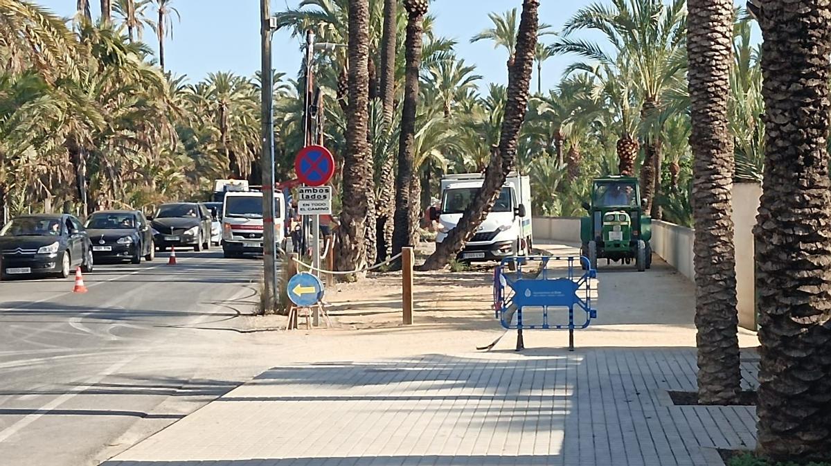 PALMERAS ELCHE: tráfico