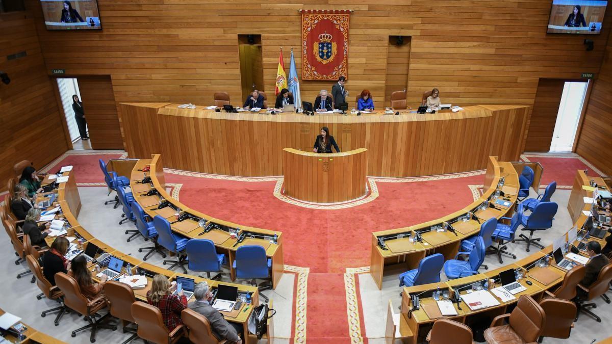 BNG y PSdeG llegan al debate del Estado de la Autonomía con propuestas ...