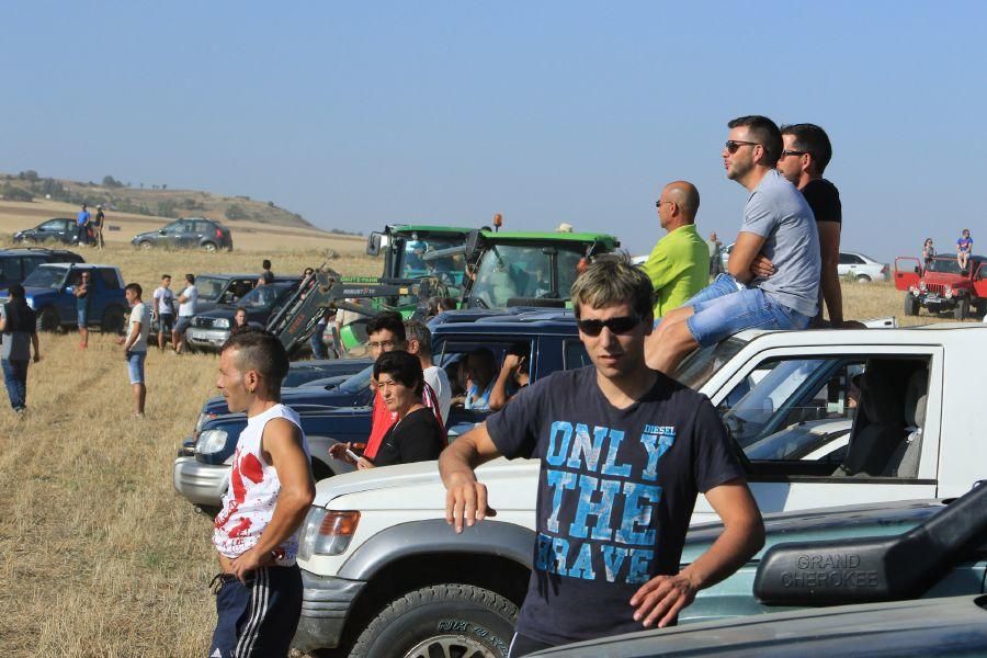 Fiestas en Moraleja del Vino: Encierro