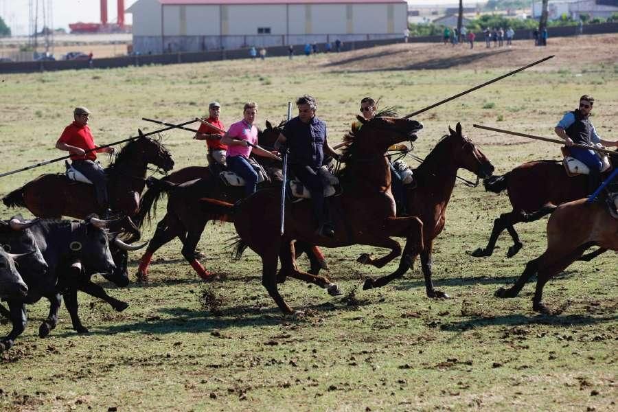 Espante de Fuentesaúco