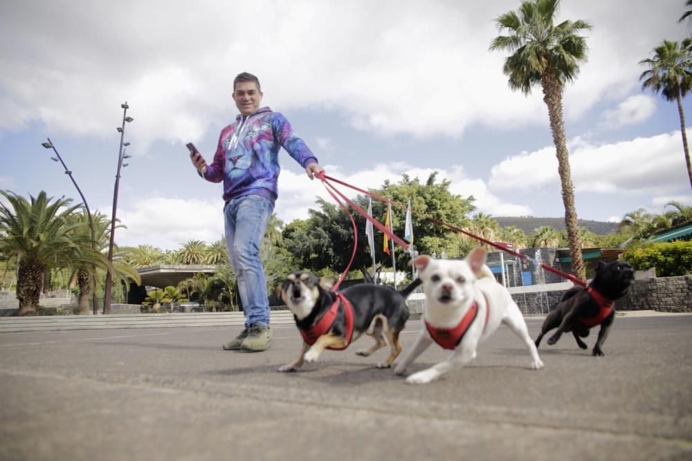 Fotos de las actividades que paran hoy en Santa Cruz de Tenerife  | 30/03/2020 | Fotógrafo: Delia Padrón