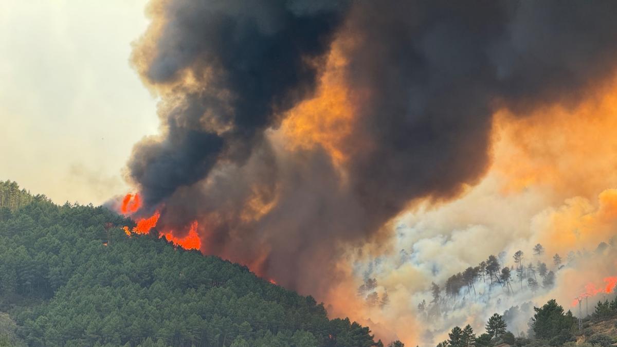 Última hora de los incendios en España, en directo