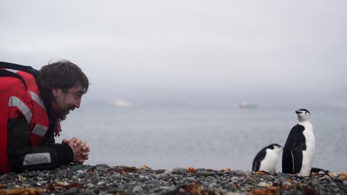 lmmarco41778393 javier bardem saludando a unos pinguinos foto instagram180125174534