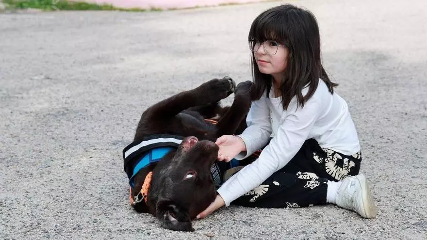 Leire tiene autismo y necesita ir con su perro de asistencia a su colegio en Redondela: de momento se lo niegan