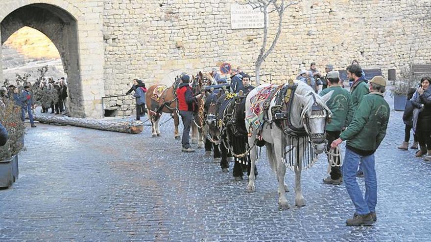 la ‘brosta’ LLega a morella para vivir sant antoni