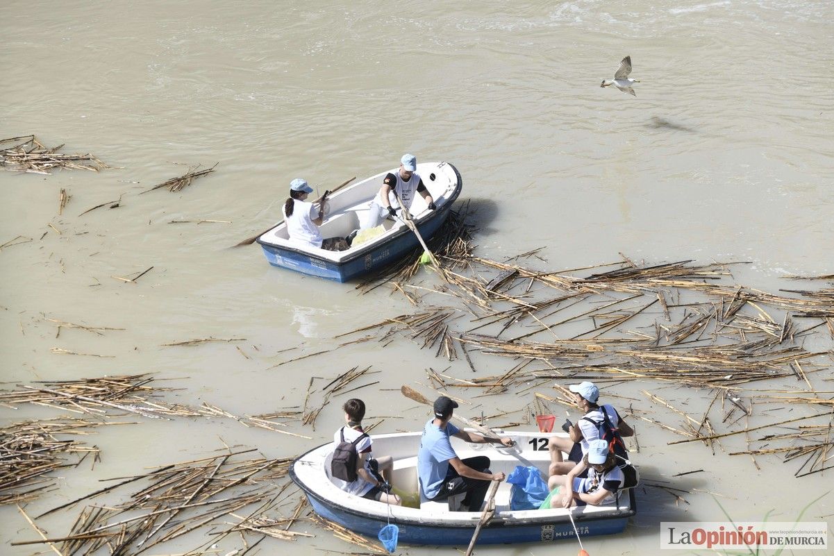 Todas las imágenes del reto de limpieza del río Segura en Murcia