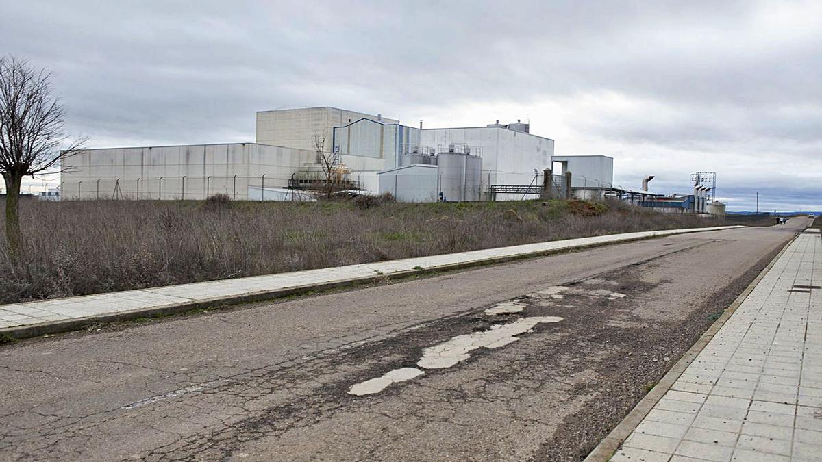 Vista de la fábrica de Prolactea en la carretera auxiliar que conecta Castrogonzalo con Benavente.| J. A. G.