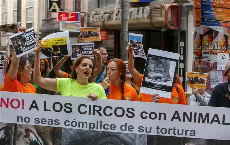 Protesta para prohibir el maltrato de animales