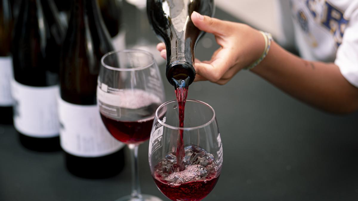 Cientos de personas degustan los mejores vinos de Tacoronte-Acentejo a los pies de La Concepción.