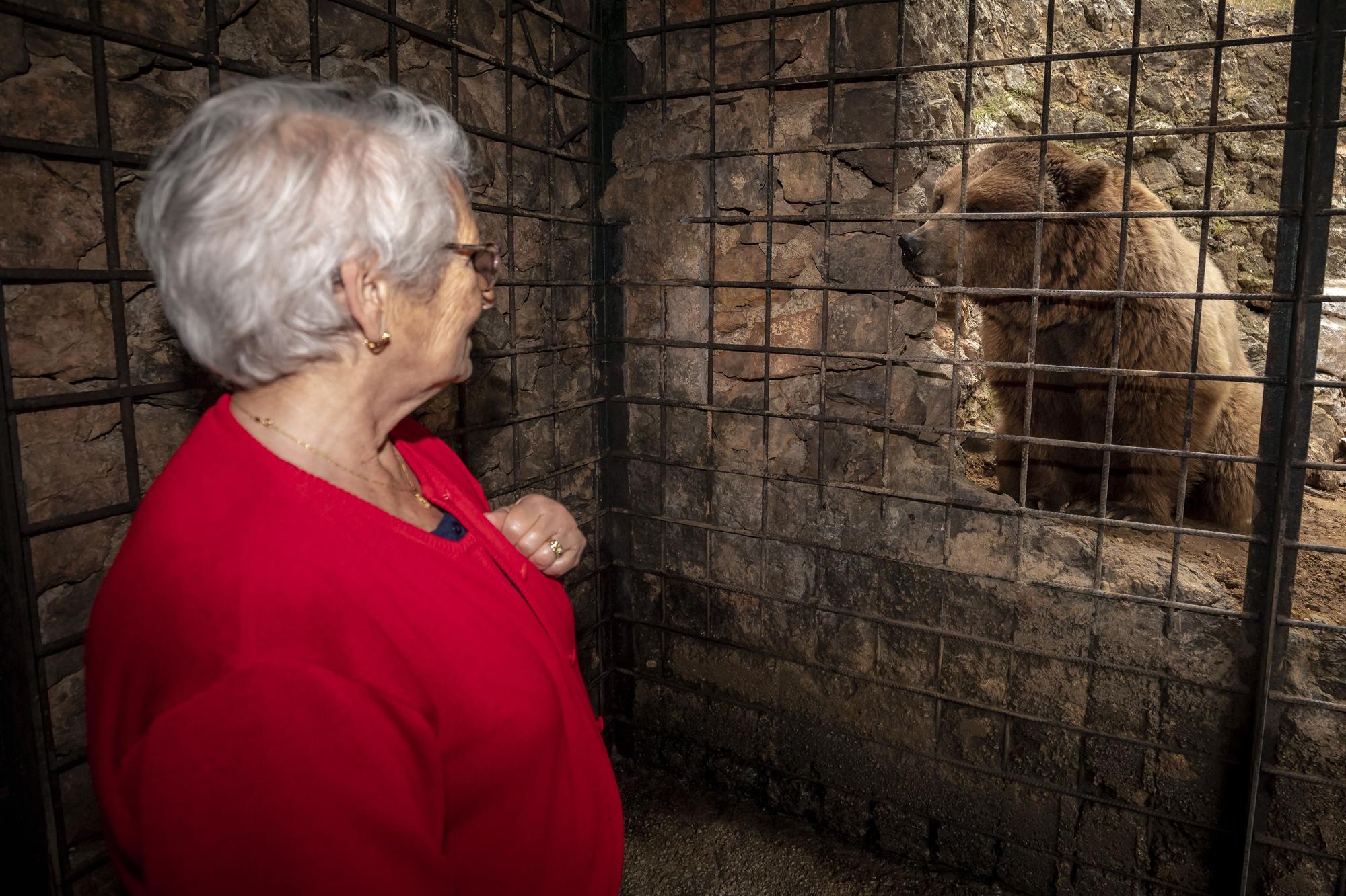 Los osos de Mallorca se reencuentran con su mamá humana