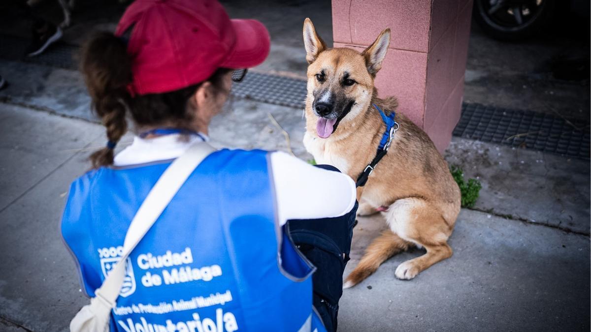 Voluntaria del CEPAM