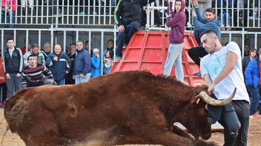 El toro cerril &#039;Limpiabarros&#039;  inicia la temporada en la C. Valenciana